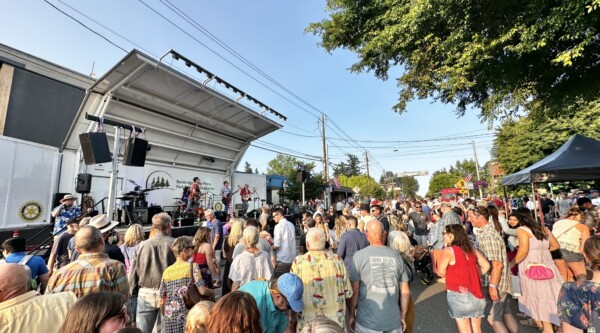 People listen to live music at an outdoor concert