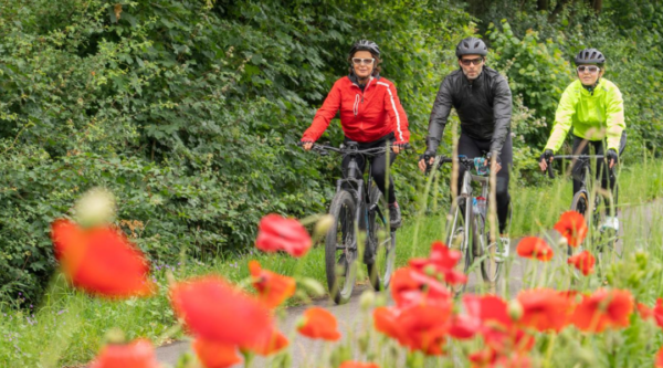 People riding bicycles in a park