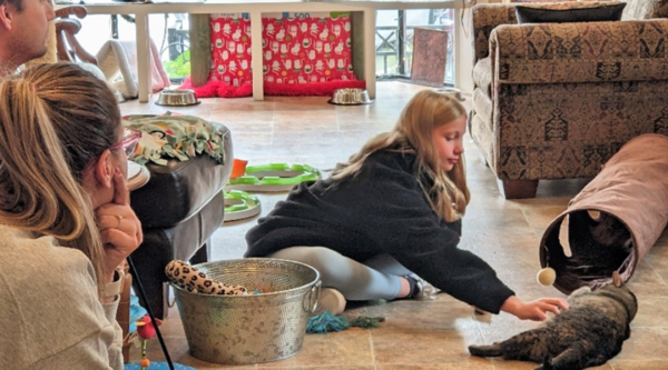 A young girl plays with a cat while her parents watch